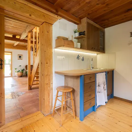 Jana Apartment Radovljica